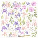 Лист з картинками для вирізання. Набір 'Majestic Iris' 02055