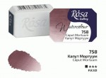 Фарба акварельна, капут мортуум, 2,5мл. Rosa Gallery 758
