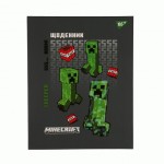 Щоденник шкільний YES твердий Minecraft Creeper, A5, 40 аркушів, 911639 911639