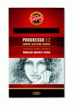 Олівець цільнографітний Progresso 8911